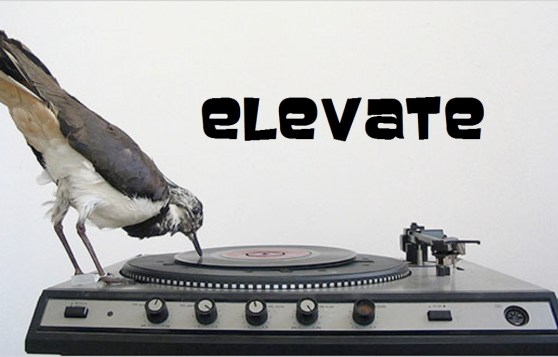 Elevate